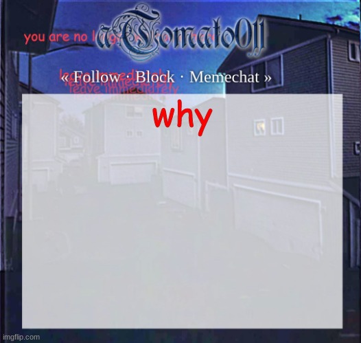 why | why | image tagged in why | made w/ Imgflip meme maker