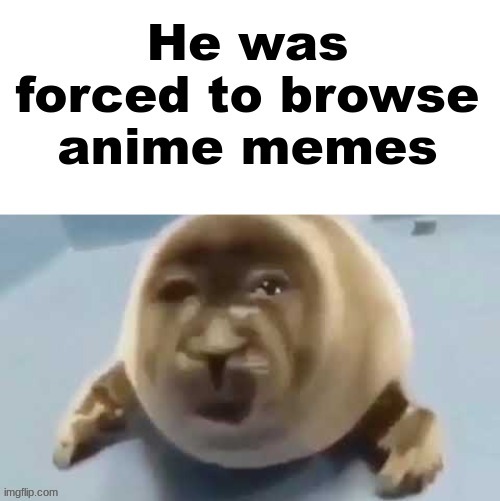 Poor guy... | image tagged in unfunny,forced seal | made w/ Imgflip meme maker