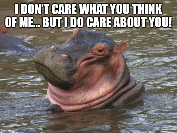 smiling hippo | I DON’T CARE WHAT YOU THINK OF ME… BUT I DO CARE ABOUT YOU! | image tagged in smiling hippo | made w/ Imgflip meme maker