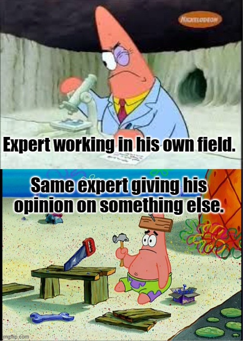 PAtrick, Smart Dumb | Expert working in his own field. Same expert giving his opinion on something else. | image tagged in patrick smart dumb | made w/ Imgflip meme maker