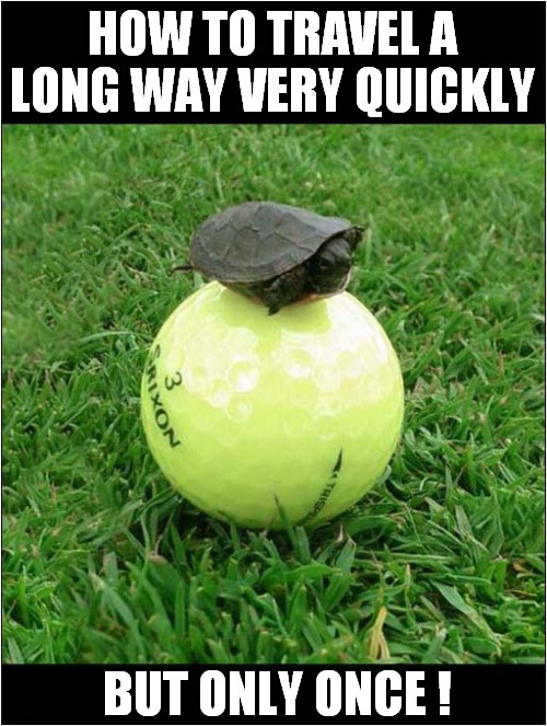 Turtle Power ! | HOW TO TRAVEL A LONG WAY VERY QUICKLY; BUT ONLY ONCE ! | image tagged in turtle,golf,smash,dark humour | made w/ Imgflip meme maker