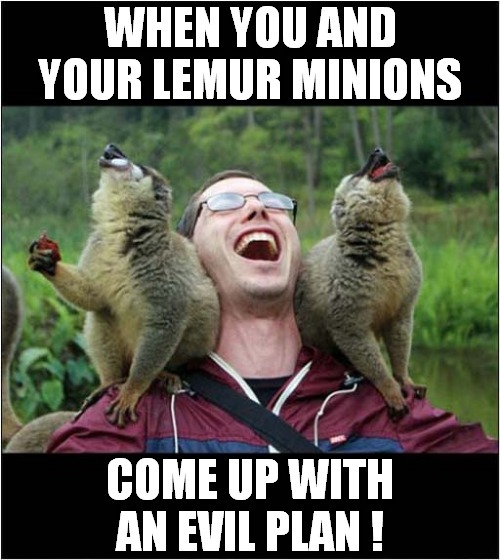 Muahahaha ! |  WHEN YOU AND YOUR LEMUR MINIONS; COME UP WITH AN EVIL PLAN ! | image tagged in fun,muahahaha,lemur,minions,evil | made w/ Imgflip meme maker