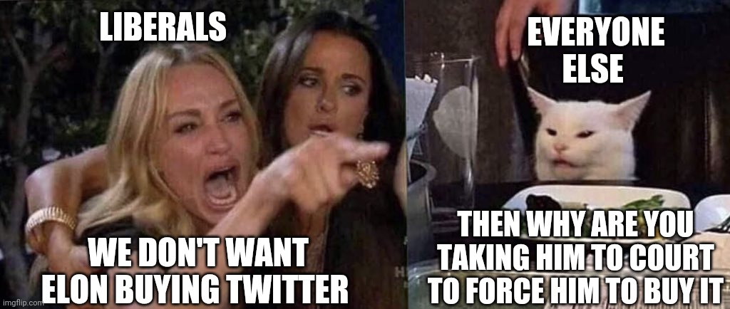 1984 | LIBERALS; EVERYONE ELSE; WE DON'T WANT ELON BUYING TWITTER; THEN WHY ARE YOU TAKING HIM TO COURT TO FORCE HIM TO BUY IT | image tagged in woman yelling at cat,liberals,twitter,elon musk,demotivationals,liberal logic | made w/ Imgflip meme maker