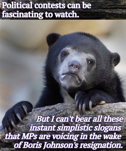 Unbearable slogans | Political contests can be 
fascinating to watch. But I can't bear all these instant simplistic slogans 
that MPs are voicing in the wake 
of Boris Johnson's resignation. | image tagged in memes,confession bear,conservatives,united kingdom,leadership,democracy | made w/ Imgflip meme maker