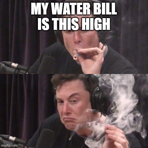 Elon Musk Weed | MY WATER BILL IS THIS HIGH | image tagged in elon musk weed | made w/ Imgflip meme maker