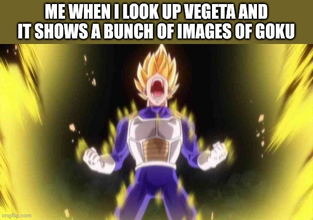 vegeta | ME WHEN I LOOK UP VEGETA AND IT SHOWS A BUNCH OF IMAGES OF GOKU | image tagged in vegeta | made w/ Imgflip meme maker