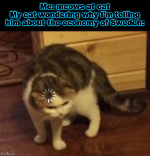Loading cat | Me: meows at cat
My cat wondering why I'm telling him about the economy of Sweden: | image tagged in loading cat | made w/ Imgflip meme maker