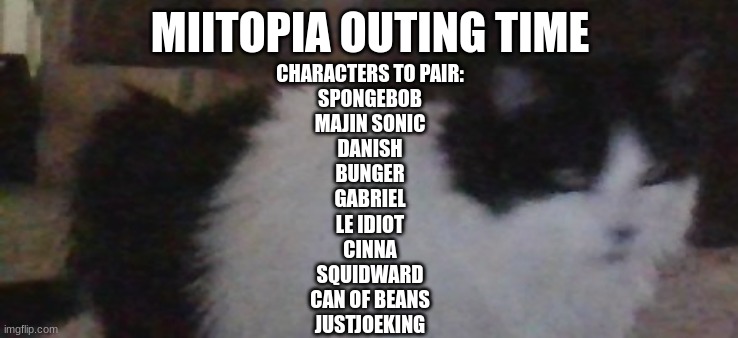 Danish and Bunger | MIITOPIA OUTING TIME; CHARACTERS TO PAIR:
SPONGEBOB
MAJIN SONIC
DANISH
BUNGER
GABRIEL
LE IDIOT
CINNA
SQUIDWARD
CAN OF BEANS
JUSTJOEKING | image tagged in riggity roo ahh cat part 2 electric boogaloo | made w/ Imgflip meme maker