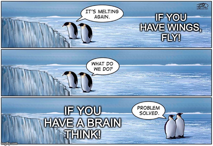 Don't be a penguin (or a science denier)! | IF YOU
HAVE WINGS,
FLY! IF YOU
HAVE A BRAIN
THINK! | image tagged in penguins,brain,climate change | made w/ Imgflip meme maker