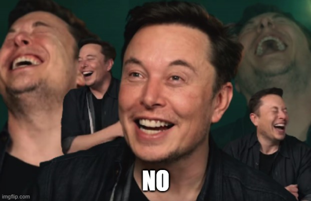 Elon Musk Laughing | NO | image tagged in elon musk laughing | made w/ Imgflip meme maker