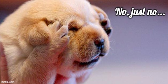 No... | No, just no... | image tagged in puppy,no,i said no | made w/ Imgflip meme maker