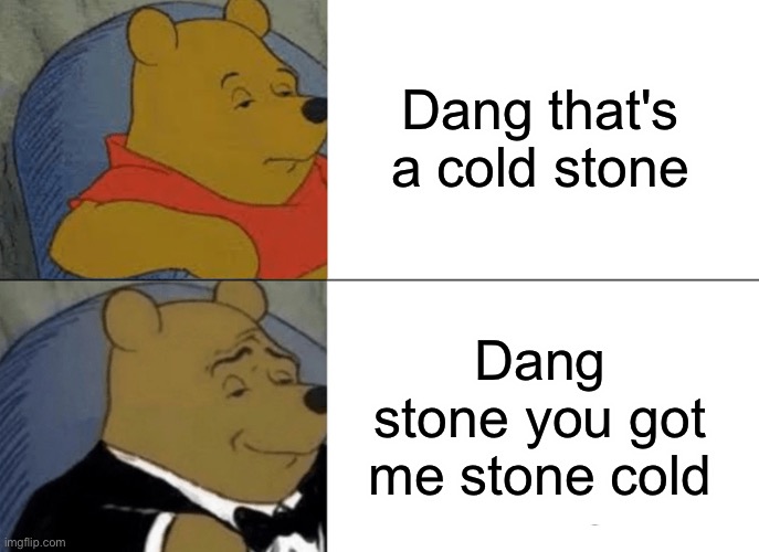 I genuinely don't know ok. Just. Just laugh. Ha. | Dang that's a cold stone; Dang stone you got me stone cold | image tagged in memes,tuxedo winnie the pooh | made w/ Imgflip meme maker