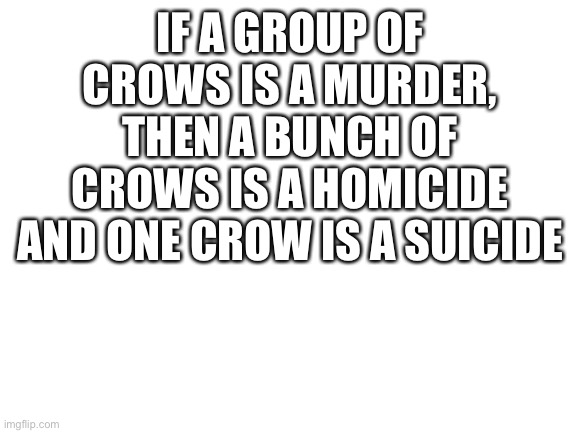 Joke | IF A GROUP OF CROWS IS A MURDER, THEN A BUNCH OF CROWS IS A HOMICIDE AND ONE CROW IS A SUICIDE | image tagged in blank white template,crow,homicide,suicide,dark humor | made w/ Imgflip meme maker
