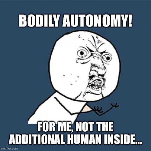 Everyone alive was a fetus once, genius. | BODILY AUTONOMY! FOR ME, NOT THE ADDITIONAL HUMAN INSIDE… | image tagged in abortion,pro life,politics,political meme,political,based | made w/ Imgflip meme maker