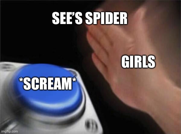 Ahhhhh… for no reason | SEE’S SPIDER; GIRLS; *SCREAM* | image tagged in memes,blank nut button | made w/ Imgflip meme maker