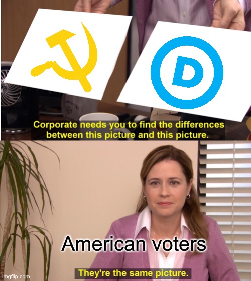 They're The Same Picture Meme | American voters | image tagged in memes,they're the same picture | made w/ Imgflip meme maker