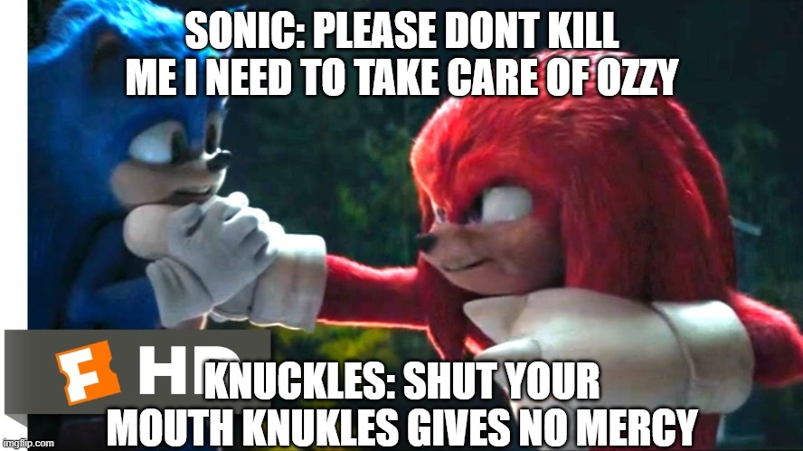 Sonic 2 meme | SONIC: PLEASE DONT KILL ME I NEED TO TAKE CARE OF OZZY; KNUCKLES: SHUT YOUR MOUTH KNUKLES GIVES NO MERCY | image tagged in sonic vs knukles | made w/ Imgflip meme maker