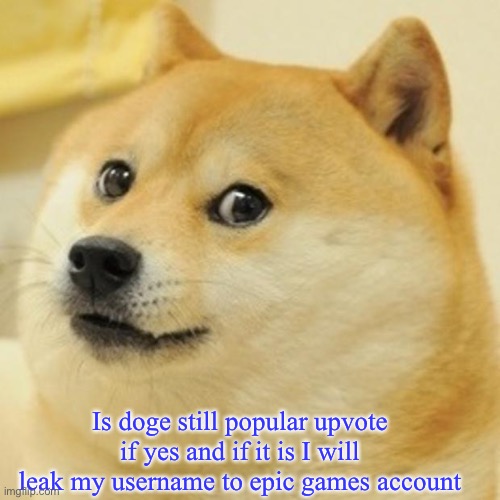 Hem | Is doge still popular upvote if yes and if it is I will leak my username to epic games account | image tagged in memes,doge | made w/ Imgflip meme maker