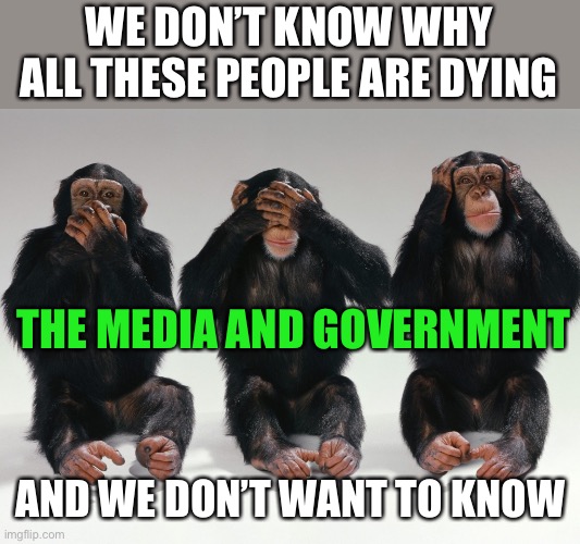 three monkeys | WE DON’T KNOW WHY ALL THESE PEOPLE ARE DYING AND WE DON’T WANT TO KNOW THE MEDIA AND GOVERNMENT | image tagged in three monkeys | made w/ Imgflip meme maker