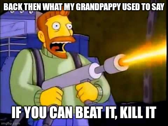 Or burn it in this situation |  BACK THEN WHAT MY GRANDPAPPY USED TO SAY; IF YOU CAN BEAT IT, KILL IT | image tagged in kill it with fire,memes,funny,oh wow are you actually reading these tags | made w/ Imgflip meme maker