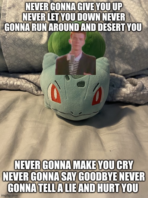 Bulbasaur of the bed | NEVER GONNA GIVE YOU UP NEVER LET YOU DOWN NEVER GONNA RUN AROUND AND DESERT YOU; NEVER GONNA MAKE YOU CRY NEVER GONNA SAY GOODBYE NEVER GONNA TELL A LIE AND HURT YOU | image tagged in bulbasaur of the bed | made w/ Imgflip meme maker