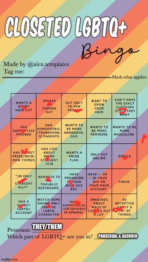 Eeeyyy I got a bingo | THEY/THEM; PANSEXUAL & AGENDER | image tagged in closeted lgbtq bingo | made w/ Imgflip meme maker