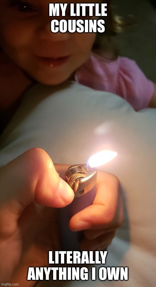 Lighter baby | MY LITTLE COUSINS; LITERALLY ANYTHING I OWN | image tagged in lighter baby | made w/ Imgflip meme maker