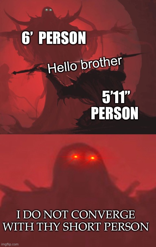 So true | 6’  PERSON; Hello brother; 5’11” PERSON; I DO NOT CONVERGE WITH THY SHORT PERSON | image tagged in man giving sword to larger man | made w/ Imgflip meme maker