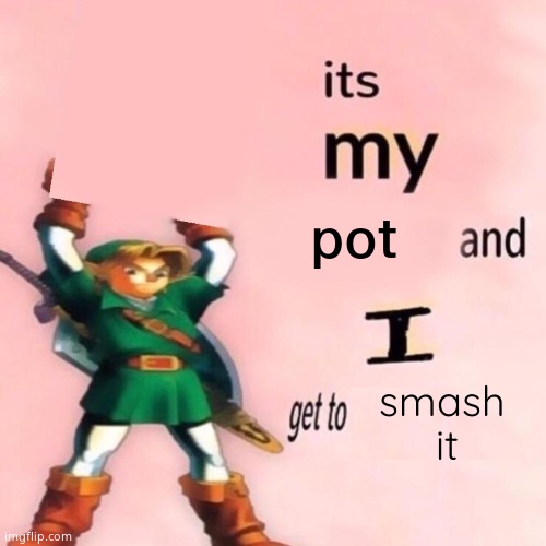 When theres pots in the shop and the shopkeeper wont let you touch them | pot; smash 
it | image tagged in it's my ___ and i get to ____,legend of zelda | made w/ Imgflip meme maker