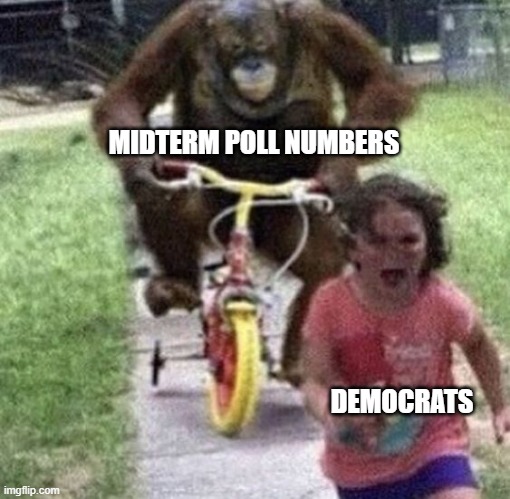 Fools did it to themselves | MIDTERM POLL NUMBERS; DEMOCRATS | image tagged in democrats,liberals,woke,biden,leftists,dimwits | made w/ Imgflip meme maker