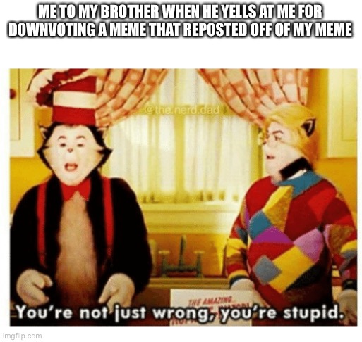 You're not just wrong your stupid |  ME TO MY BROTHER WHEN HE YELLS AT ME FOR DOWNVOTING A MEME THAT REPOSTED OFF OF MY MEME | image tagged in you're not just wrong your stupid | made w/ Imgflip meme maker