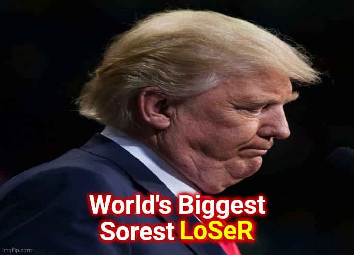 L. O. S. E. R. | LoSeR; World's Biggest
Sorest LoSeR | image tagged in memes,loser,liar,lying loser,trumpublican terrorist cult,lock him up | made w/ Imgflip meme maker