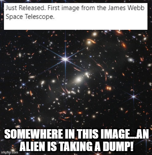 How Profound | SOMEWHERE IN THIS IMAGE...AN ALIEN IS TAKING A DUMP! | image tagged in alien | made w/ Imgflip meme maker