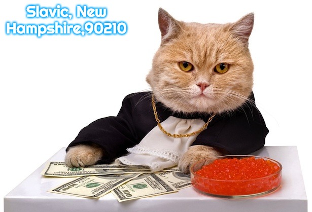 Cat Caviar | Slavic, New Hampshire,90210 | image tagged in cat caviar,slavic,new hampshire,90210 | made w/ Imgflip meme maker