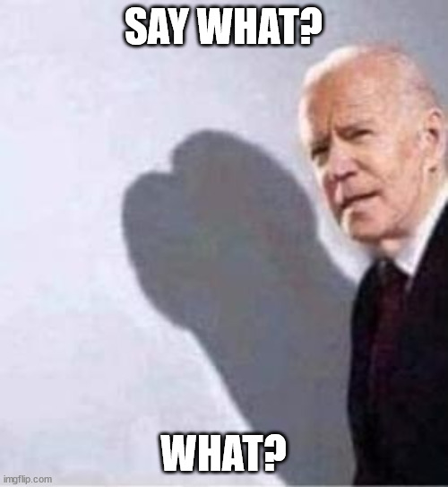 SAY WHAT? WHAT? | made w/ Imgflip meme maker