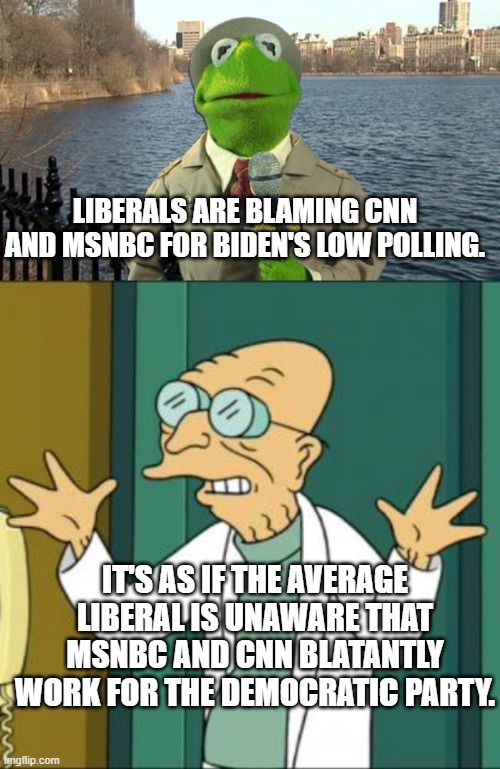 Democrats versus Democrats | LIBERALS ARE BLAMING CNN AND MSNBC FOR BIDEN'S LOW POLLING. IT'S AS IF THE AVERAGE LIBERAL IS UNAWARE THAT MSNBC AND CNN BLATANTLY WORK FOR THE DEMOCRATIC PARTY. | image tagged in kermit news report | made w/ Imgflip meme maker