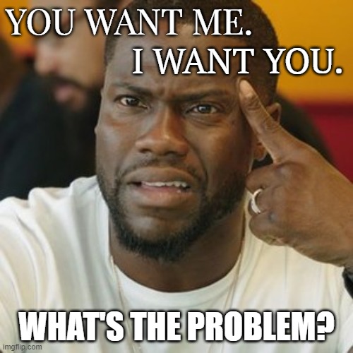 What's the Problem | YOU WANT ME. I WANT YOU. WHAT'S THE PROBLEM? | image tagged in totally baffled | made w/ Imgflip meme maker