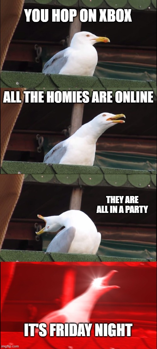 Good feeling :) | YOU HOP ON XBOX; ALL THE HOMIES ARE ONLINE; THEY ARE ALL IN A PARTY; IT'S FRIDAY NIGHT | image tagged in memes,inhaling seagull | made w/ Imgflip meme maker
