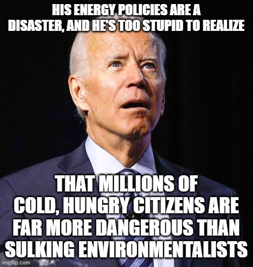 Joe Biden | HIS ENERGY POLICIES ARE A DISASTER, AND HE'S TOO STUPID TO REALIZE; THAT MILLIONS OF COLD, HUNGRY CITIZENS ARE FAR MORE DANGEROUS THAN SULKING ENVIRONMENTALISTS | image tagged in joe biden | made w/ Imgflip meme maker