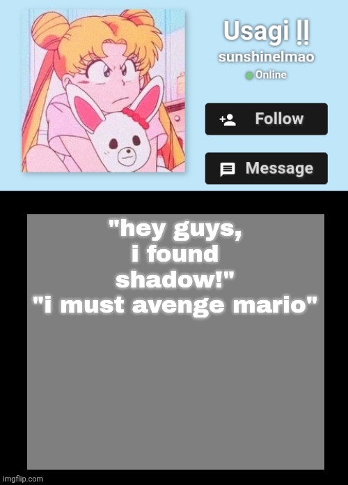 Sunny's gayass quiz site temp | "hey guys, i found shadow!"
"i must avenge mario" | image tagged in sunny's gayass quiz site temp | made w/ Imgflip meme maker