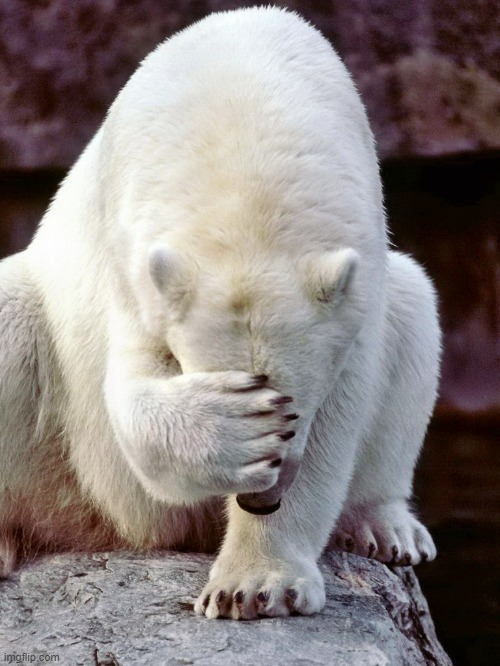Polar Bear SMH | image tagged in polar bear smh | made w/ Imgflip meme maker