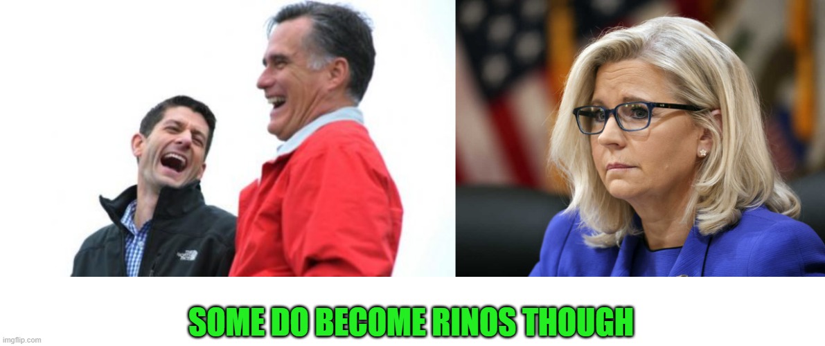 SOME DO BECOME RINOS THOUGH | image tagged in memes,romney and ryan,liz cheney | made w/ Imgflip meme maker