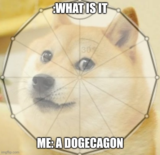 dogecagon | :WHAT IS IT; ME: A DOGECAGON | image tagged in math,doge | made w/ Imgflip meme maker