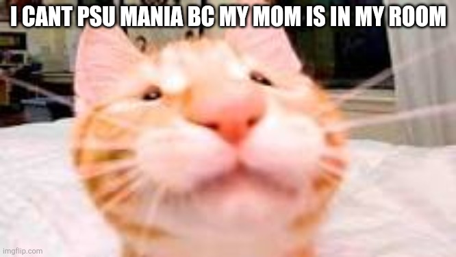 I hate !y keybord | I CANT PSU MANIA BC MY MOM IS IN MY ROOM | image tagged in my dog is extra crunchy and has diarrhea | made w/ Imgflip meme maker