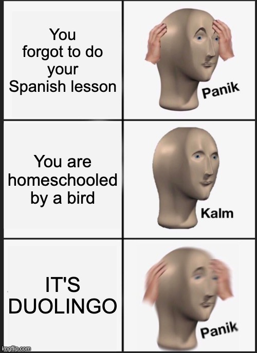 Panik Kalm Panik Meme | You forgot to do your Spanish lesson; You are homeschooled by a bird; IT'S DUOLINGO | image tagged in memes,panik kalm panik | made w/ Imgflip meme maker