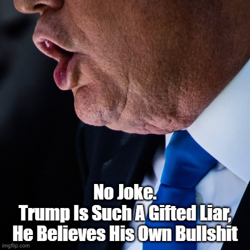 Trump Is Such A Gifted Liar | No Joke.
Trump Is Such A Gifted Liar,
He Believes His Own Bullshit | image tagged in trump,lies,falsehood,mendacity,the firehose of falsehood | made w/ Imgflip meme maker