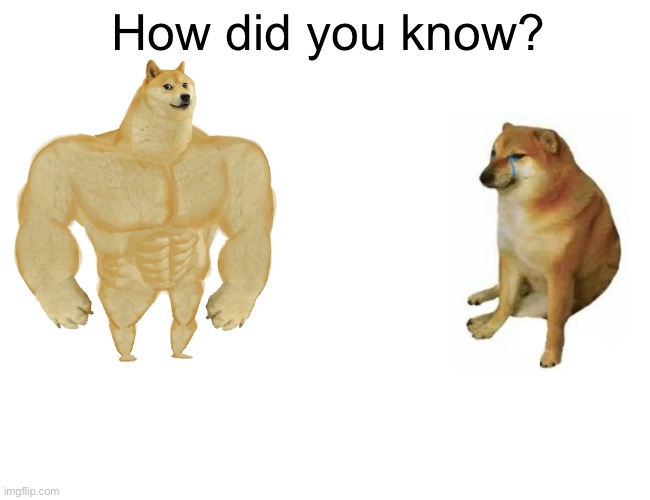 Buff Doge vs. Cheems Meme |  How did you know? | image tagged in memes,buff doge vs cheems | made w/ Imgflip meme maker
