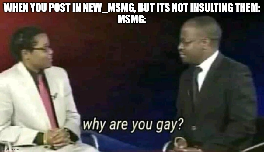 lol | WHEN YOU POST IN NEW_MSMG, BUT ITS NOT INSULTING THEM:
MSMG: | image tagged in why are you gay | made w/ Imgflip meme maker