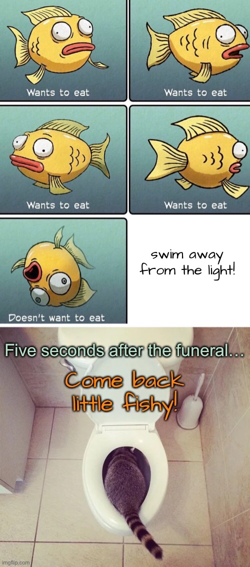 That’s a damn shame when folks be throwin’ away a perfectly good fish like that | swim away from the light! | image tagged in funny memes,funny cat memes,cat in toilet,dead goldfish | made w/ Imgflip meme maker