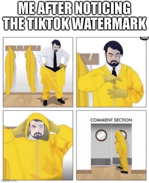 comment section | ME AFTER NOTICING THE TIKTOK WATERMARK | image tagged in comment section | made w/ Imgflip meme maker